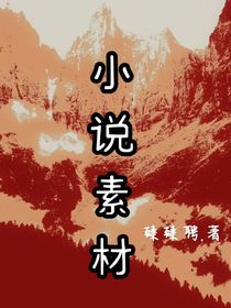 小说素材（侵权告知）