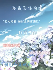 再度与你相遇……