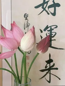 禁地探险你（嫩牛五方）