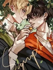 小龙的宝石