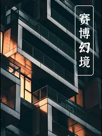 赛博幻境