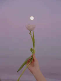 回身经年