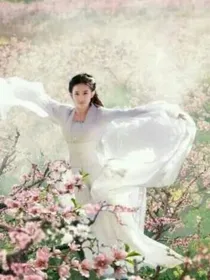 莲花楼：只愿你一世长安