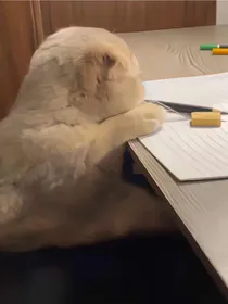 怪谈人生