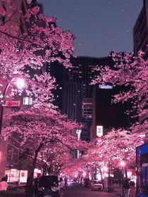蓝精灵0