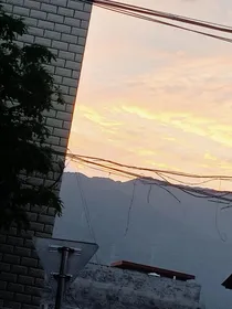 梧桐盛夏的暗恋