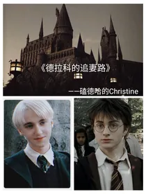 德拉科的追妻路