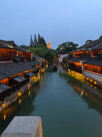 当宿主要被抹杀时，作为宿主的你不得不出来善后