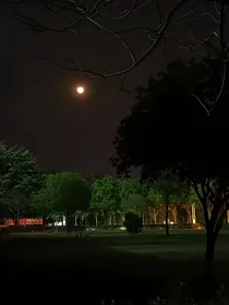 双轨星辰