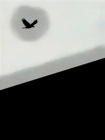 江与秦