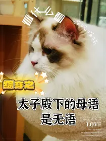 综穿之太子殿下的母语是无语