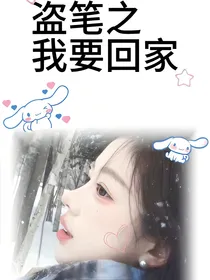 盗笔之我要回家