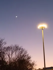懵懂的夏
