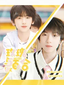 奇文：玫瑰与百合