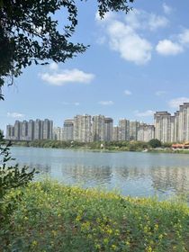 三之竹篮打水一场空