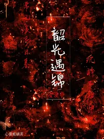 韶光遇锦