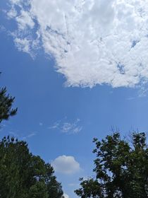 我不知你心所想