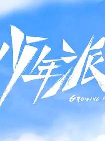 少年派2之再见风起