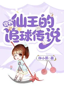 穿书：仙王的追球传说