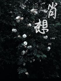 晓想