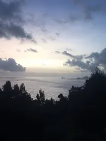 慕已成舟
