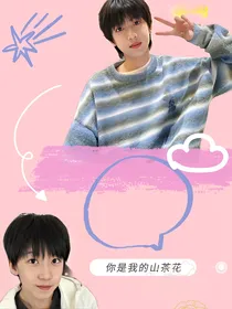 TF四代：你是我的山茶花