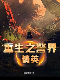 重生之警界精英