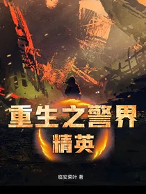 重生之警界精英