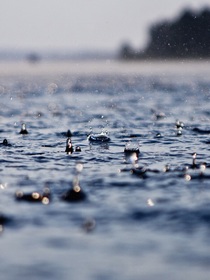 雨季杂记