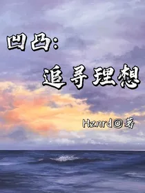 凹凸：追寻理想