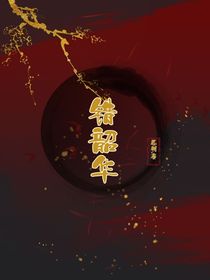 错韶华-d659