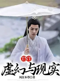 TNT：虚幻与现实