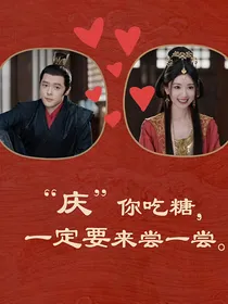 公主我代表大齐的颜面