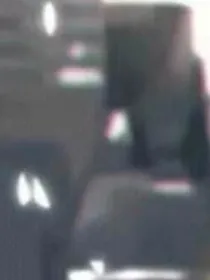 允我此生