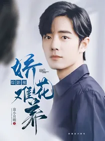 综影视：娇花难养（前传）