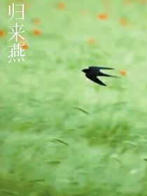 归来燕