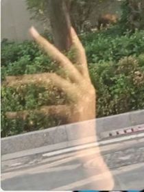 网友之微信