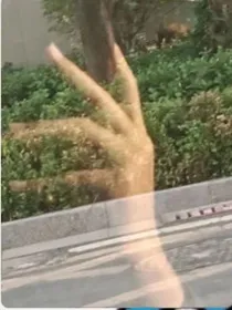 网友之微信