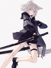 张鸣飞前传
