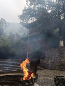 抑制剂誝璟