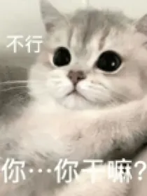 神经病和才你恋爱