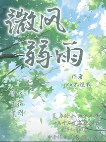 微风弱雨