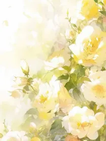 南海之花