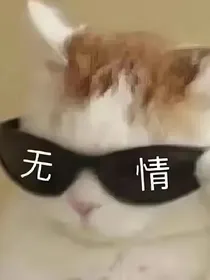 真希望能遇到（断更）