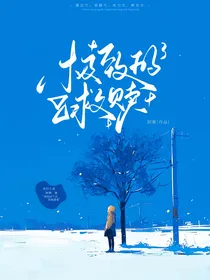 极致光之救赎