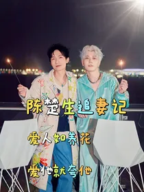 陈楚生追妻记