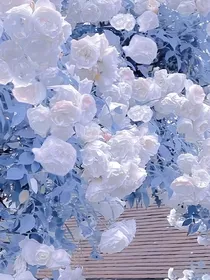随手搞子