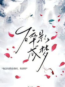 碎影成梦