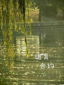 诡异合约