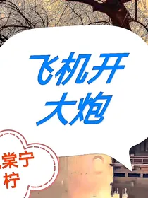 飞机开大炮